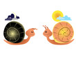 Night snail and day snail