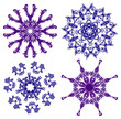 Floral snowflakes, vector Floral snowflakes, vector