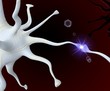neuronal