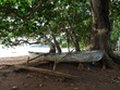 plage mayotte bateau traditionnel plage mayotte bateau traditionnel