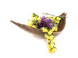 Statice flowers - Limonium Sinuatum Statice flowers - Limonium Sinuatum
