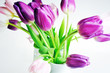 tulips tulips