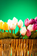 Bouquet of colorful tulips on the table Bouquet of colorful tulips on the table