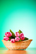 Bunch of tulip flowers on the table Bunch of tulip flowers on the table