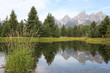 Mountain and tree reflections in water Mountain and tree reflections in water