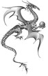 drachen tattoo vorlage