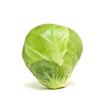 Foto: Single Sprout Single Sprout