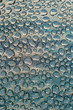 Water drops
