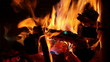 Fire Burning with Rainbow of Colors