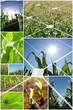 Alternative energy concept
