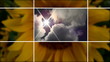 Sustainable Energy Montage