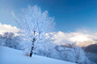Winter in the mountains