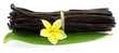 botte de vanille Bourbon sur feuille de vanille et frangipanier