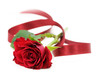 Red rose and ribbon