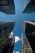 Offices and skyscrapers in a Financial district