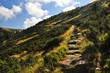 Mountain path