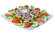 Fresh salas with tomatos green cucumber on white background