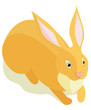 Sitting fluffy rabbit on a white background