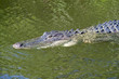 Photo: Everglades Everglades