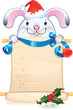 White rabbit - symbol of Chinese horoscope