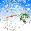 Orange carrot in the sky