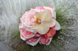 Rosen-Bouquet