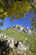 Felsen / Schwäbische Alb