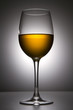Still-life with the wine glass Still-life with the wine glass