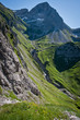Foto: green alps green alps