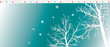 winter sky -2  snow & trees