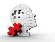 Puzzle head