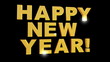 Happy New Year 2011