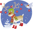 Reindeer Reindeer