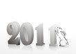 New 2011 year card.