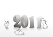 New 2011 year card.