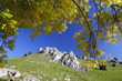 Felsen / Schwäbische Alb