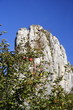 Apfel und Felsen