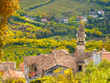 Photo: Motovun Motovun