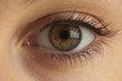 Photo: Close-up of eye Close-up of eye