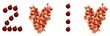2010 papillottes coeurs