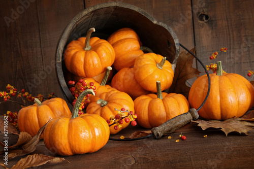 Foto: Wooden bucket filled with tiny pumpkins Wooden bucket filled with tiny pumpkins