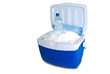 Cooler
