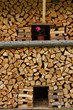 Stack of firewood surrounding small potted flower