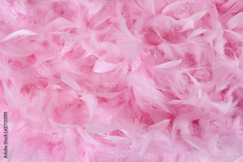 Photo: Small pink feathers in pile | Texture Small pink feathers in pile | Texture