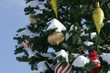 Christmas tree.