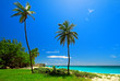 tropical beach