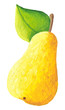 Yellow pear