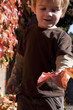 little boy playing with autumn leaves