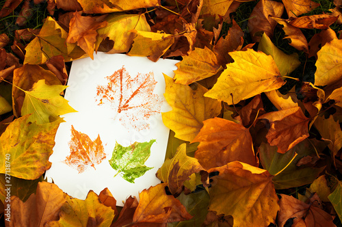 Photo: Autum Prints Amongst Leaves Autum Prints Amongst Leaves