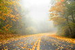 Autumn in Golden Mist
